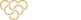 Bloom Logo